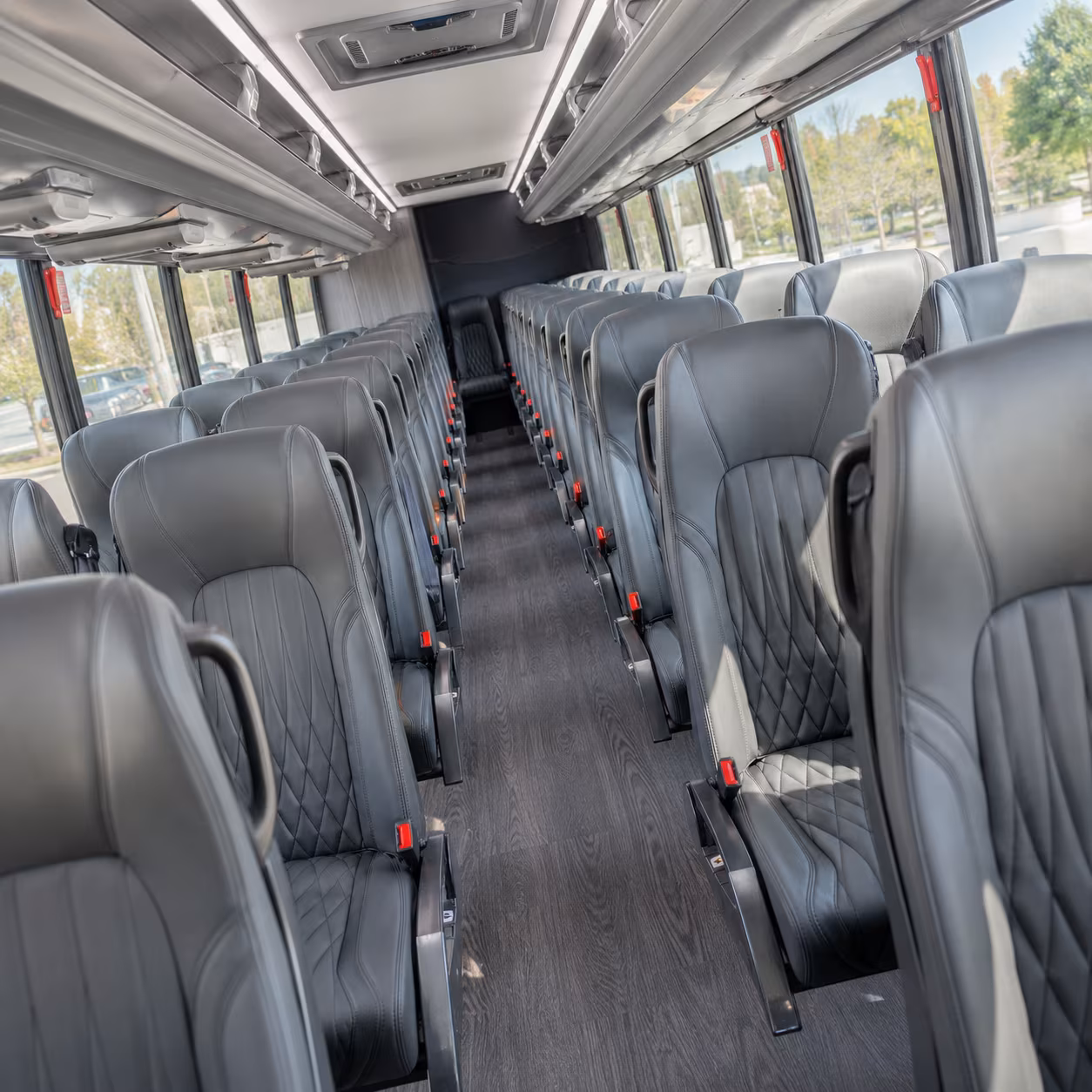 Naples School Event Transportation party bus exterior