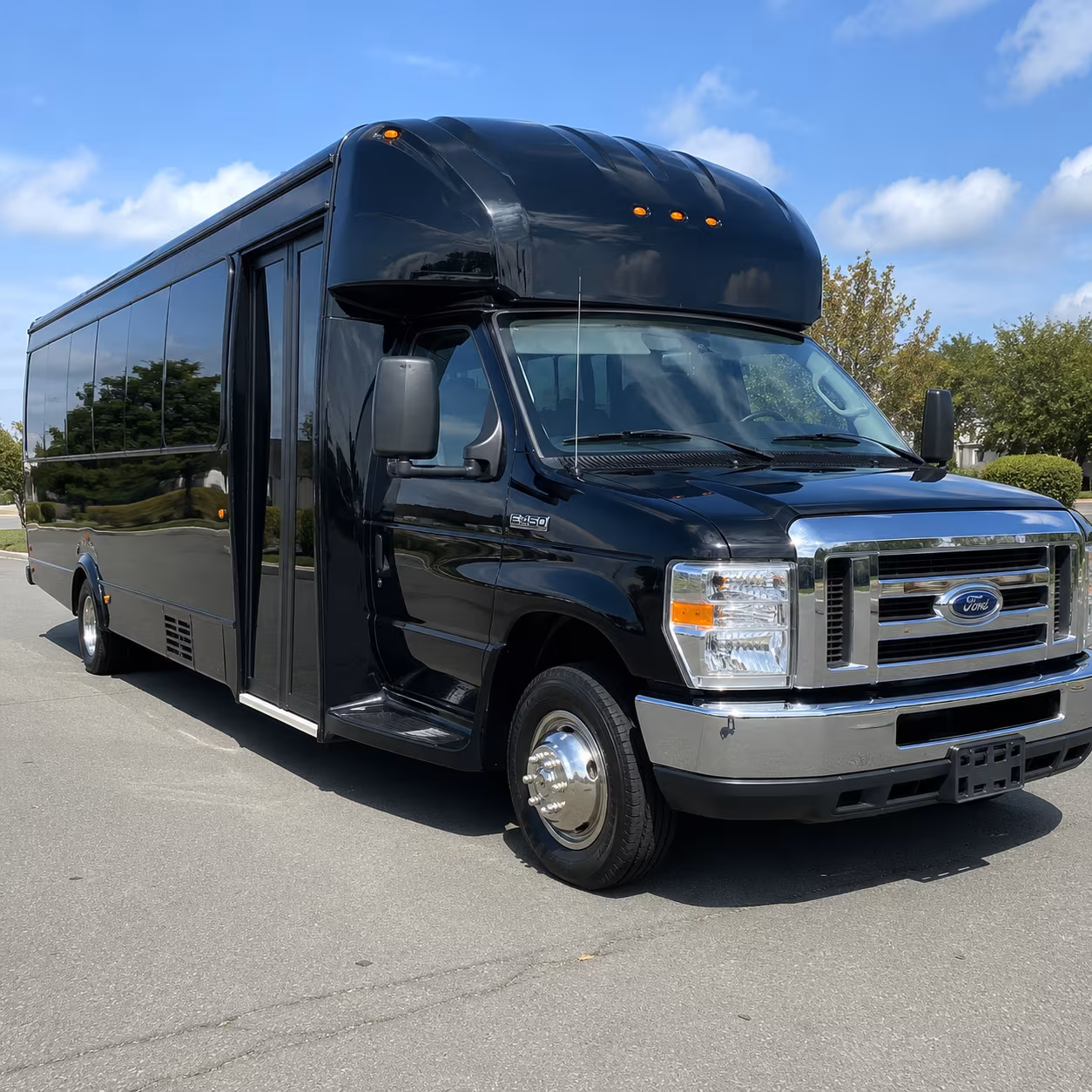 Naples Sporting Event Transportation party bus interior