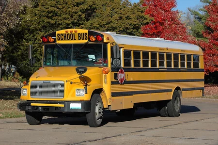 Palm Beach Gardens 47 Passenger School Bus