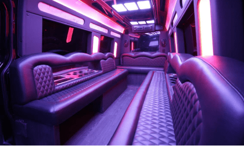Delray Beach 14 Passenger Sprinter Bus Interior